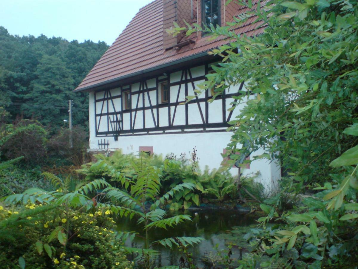 Restaurant & Pension "Bauernhof Zum Silberbergwerk" Limbach-Oberfrohna ภายนอก รูปภาพ